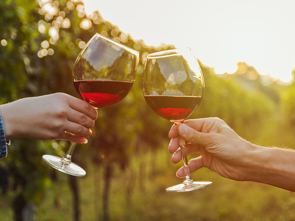 Enjoy wine in a boozy break in the UK vineyards