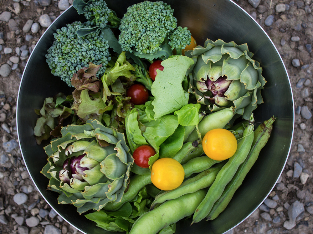 Daily Dozen: fruits and vegetables are an obvious way to give your body the fuel it needs